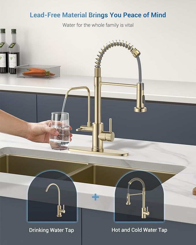 APPASO Gold Kitchen Faucet with Water Filter, Brushed Gold Kitchen Sink Faucet, 3 in 1 Kitchen Faucet (Without Water Filtration Device)