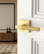 Asidrama 1 Pack Gold Privacy Door Handles, Door Lever with Door Knobs Indoor for Bedroom or Bathroom, Heavy Duty Door Handles Interior with Locks for Left Right Sided Doors