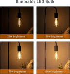 8 PCS Dimmable Vintage LED Edison Bulbs, 6W Equivalent 60 Watt, Warm White 2700K, Antique Flexible Spiral LED Filament Light Bulb, ST58 (ST19), 600 Lumens, E26 Base, Clear Plastic