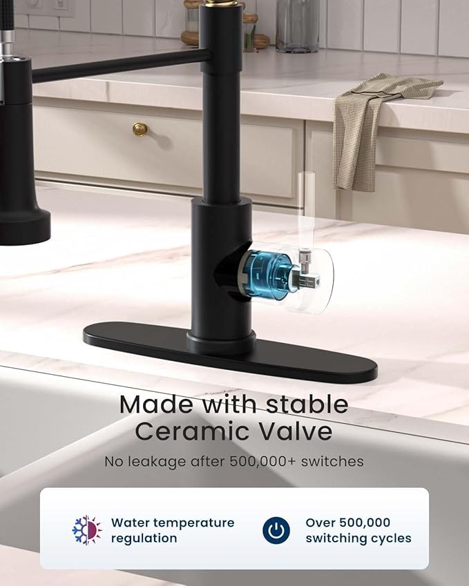 APPASO Black and Gold Kitchen Faucet with Soap Dispenser, Pull Down Kitchen Faucet Commercial Single Handle High Arc Tap for Sink, Farmhouses, RV, Laundry Room, Outdoor