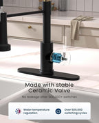 APPASO Black and Gold Kitchen Faucet with Soap Dispenser, Pull Down Kitchen Faucet Commercial Single Handle High Arc Tap for Sink, Farmhouses, RV, Laundry Room, Outdoor