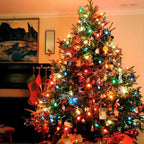 25 Pack C9 LED Replacement Christmas Light Bulbs, E17 Base Led Bulb Outdoor Christmas Lights, Waterproof Commercial Grade Holiday Decoration Replacement Bulbs for String Lights (Red)