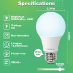 60 Pack LED Bulbs, A19 60W Equivalent, 800 Lumens, 5000K Daylight, 8W Non-Dimmable Light Bulbs for Home & Office, 15000hours
