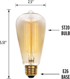 Westinghouse 0413200 60 Watt ST20 Amber Timeless Vintage Inspired Bulb with Medium Base