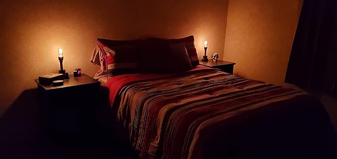 T45 Edison Bulbs, 40 Watt Dimmable, 2700K Warm White, E26/E27 Base Incandescent, 110-130V, Squirrel Cage Filament, Vintage Decor for Pendant Lights, Vanity Fixtures, and Decorative Lighting, 4-Pack