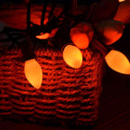 SUNSGNE C7 Christmas Orange Incandescent Night Light Bulbs, 25 Pack C7 Ceramic Replacement Bulbs for Outdoor String Lights, E12 Candelabra Base, 5 Watt, Ceramic Orange