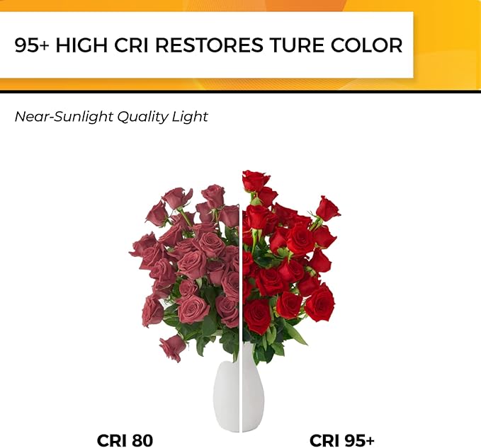 Hizashi Edison Bulb 60 Watt LED, 2700K Dimmable LED Light Bulbs E26 Base, ST19 Vintage Light Bulbs Soft Warm White, 95+CRI, UL Listed,700 Lumens 6W, Clear Glass, Pack of 3