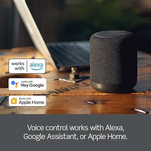 Leviton Decora Smart Wi-Fi Outdoor Plug, Works with Matter, My Leviton, Alexa, Google Assistant, Apple Home/Siri & Wire-Free Anywhere Switch Companion, Weather-Resistant, D215O-1RE, Black