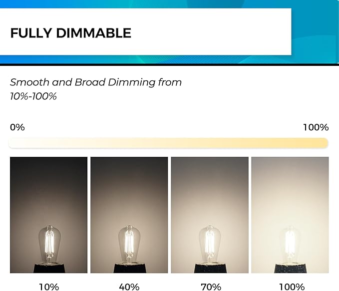 Hizashi Vintage LED Edison Bulb Dimmable, 6W Equivalent 60W, 4000k Neutral White, 700LM, E26 Base Light Bulbs, High CRI 95+ Eye Protection, Clear Glass, Pack of 24