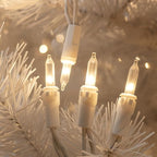 Novelty Lights 50 Feet 100 Bulb Incandescent Mini Light String, Frosted with 6-Inch Spacing on White Wire, UL Listed Commercial Grade Indoor/Outdoor Mini Lights, Connectable End-to-End