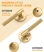 Asidrama 1 Pack Champagne Bronze Privacy Door Handles, Door Lever with Door Knobs Indoor for Bedroom or Bathroom, Heavy Duty Door Handles Interior with Locks for Left Right Sided Doors