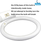 FC12T9 32 Watts Circline Light Bulbs Daylight, Circular 12 Inch T9 32W Round Fluorescent Bulb Replacement for Circle Ceiling Fixture Lamp, DL 6500K Tube, G10q 4 Pin Base, 2 Pack