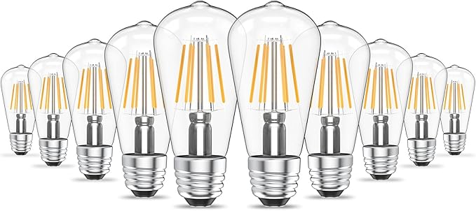 Ralbay ST48 Vintage LED Edison Bulbs 10 Pack, 60W Equivalent, Warm White 2700K, Clear Glass E26 Medium Base