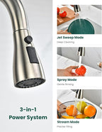 APPASO 3-Way Filter Faucet, Kitchen Faucet with Water Filter, 3 in 1 Faucet for Kitchen Sink Commercial Single Handle, SUS304 Stainless Steel Brushed Nickel (Without Filtration Device)