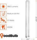 GoodBulb 31-Watt 1.63 Inch T8 Fluorescent U-Bend Light Bulb | 4100K Cool White Color | Medium Bi-Pin Base | High Output 1963 Lumens | 10000 Life Hours 80 CRI | Pack of 10 Bulbs