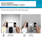 Hizashi LED Edison Bulbs, 6W, Equivalent 60W, Dimmable E26 LED Bulb, Daylight 5000K, 90+ CRI 700 Lumens, ST19 Vintage Light Bulbs, Clear Glass, Pack of 3