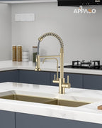APPASO Gold Kitchen Faucet with Water Filter, Brushed Gold Kitchen Sink Faucet, 3 in 1 Kitchen Faucet (Without Water Filtration Device)