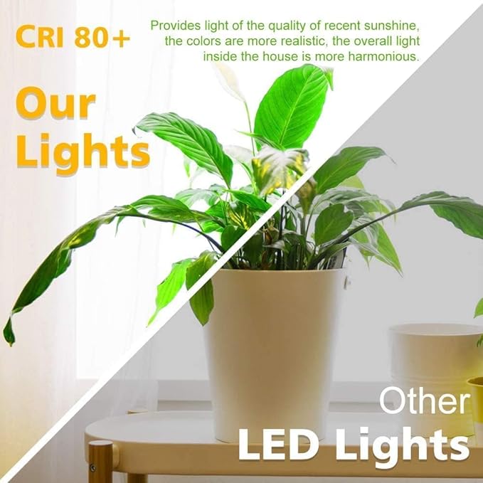 2 Inch LED Downlight, Recessed Lighting Dimmable Ceiling Light, 3W, 2700K Ultra Warm White, CRI80 with LED Driver(35W Halogen Equivalent), 20 Pack