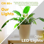 2 Inch LED Downlight, Recessed Lighting Dimmable Ceiling Light, 3W, 5500K Daylight White, CRI80 with LED Driver(35W Halogen Equivalent), 12 Pack