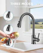 WEWE Kitchen Faucets with Pull Down Sprayer, Stainless Steel Single Handle 1 Hole for Family Kitchen Commercial Camper Laundry Rv Bar, Matte Gray