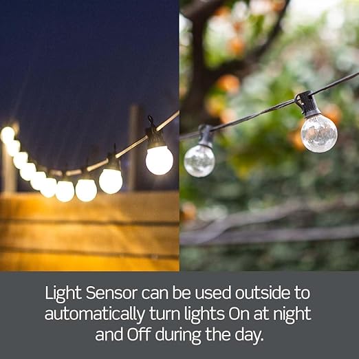 Leviton Decora Smart Wi-Fi Outdoor Plug, Works with Matter, My Leviton, Alexa, Google Assistant, Apple Home/Siri & Wire-Free Anywhere Switch Companion, Weather-Resistant, D215O-1RE, Black