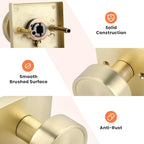 Haidms Gold Passage Door Knobs Interior, Zinc Alloy Brushed Gold Closet Door Knobs, Heavy Duty Round Brushed Brass Doorknobs for Hall Closet,Hallway(6 Pack)