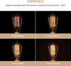 HESSION 6-Pack Edison Light Bulbs, 60w Vintage Edison Bulb, Squirrel Cage Filament Edison Bulbs, E26 Base - Amber Glass Warm White - Dimmable - ST58 Decorative Lightbulbs