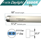 F15T8-D Daylight 15W Fluorescent Bulb,18'' F15T8/DL 6500K T8 Linear Preheat Lighting Lamps, G13 bi-pin Base