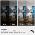 A19 LED Light Bulbs 60 Watt Equivalent, 90 CRI, Dimmable, Daylight 5000K, 760 Lumens, E26 Base, 120V, 8W LED Bulbs for Bedroom Living Room, 8-Pack