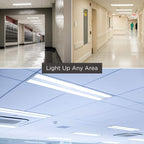 GoodBulb 28-Watt 48 Inch T8 Fluorescent Light Bulb | 4100K Cool White Medium Bi-Pin Base | 2970 Lumens 86 CRI 36000 Life Hours | Instant/Programmed Start | Pack of 30 Bulbs