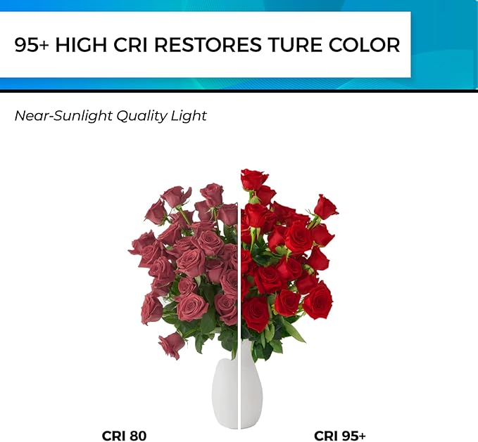 Hizashi Edison Bulbs Dimmable, Vintage E26 LED Bulb 60 Watt Equivalent UL Listed, 4000K Cool White 700lm 6W 95+CRI ST58/ST19 Antique Light Bulbs with E26 Medium Base, Clear Glass, Pack of 4