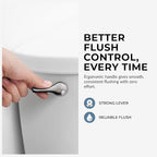 Qualihome Universal Toilet Tank Flush Lever, Chrome Finish Handle with Metal Nut, Fits Most Toilets (Side Mount)