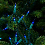 Novelty Lights 11 Feet 50 Bulbs Traditional Incandescent Mini Lights, Blue on Green Wire with 2.5" Spacing, Commercial Grade and UL Listed for Indoor/Outdoor Use, End-to-End Connectable