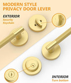 Asidrama Premium Brushed Gold Zinc-Alloy Front Door Lock Set: Double Cylinder Deadbolt, Heavy Duty Security Handleset for Left/Right Exterior Doors, Universal Entry Locks (2 Pack)