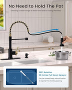 APPASO Black and Gold Kitchen Faucet with Soap Dispenser, Pull Down Kitchen Faucet Commercial Single Handle High Arc Tap for Sink, Farmhouses, RV, Laundry Room, Outdoor