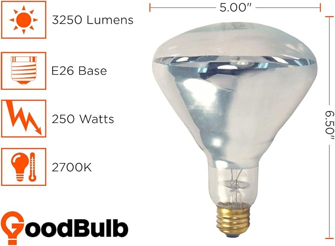 GoodBulb 25O-Watt Heat Lamp BR40 Light Bulbs Incandescent Restaurant Bulb with E26 Medium Base 2700K Warm White Light Color 3250 Lumens (Pack of 10 Bulbs)
