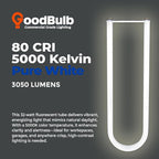 GoodBulb 32W T8 U Bend Fluorescent 6" Tube | 5000K Daylight Medium Bi-Pin Base | 3050 Lumens 85 CRI 24000 Life Hours 32 Watts | Car Dealership Lighting | 10 Pack