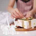 2PCS Toilet Bolt Covers Decorative, Ceramic Toilet Bolt Caps for Bottom Screws,Easy to Install Cute Bathroom Decor, Animal-Shaped Bowl Screw Cover Set Protectors for Modern Home(White, Elephant)