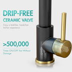 AIMADI Kitchen Faucet,Black and Gold Kitchen Faucet with Sprayer,Commercial Style Matte Black Single Handle Single Hole Kitchen Sink Faucet