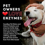 Clean Revolution SuperCharged Multi-Surface Cleaner, Non-Toxic, Eco-Friendly & Plant-Based, Ready to Use, Seaside Lavender, 128 Fl Oz