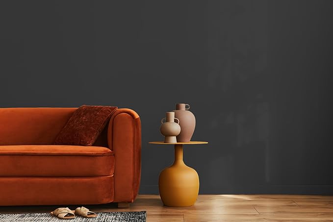 EVOLVE Paint & Primer: Environment-friendly, Low Sheen with One-coat Coverage for Interior & Exterior surfaces (Black Iron, 1-Gallon)