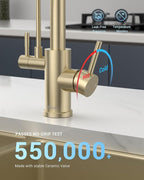 APPASO Gold Kitchen Faucet with Water Filter, Brushed Gold Kitchen Sink Faucet, 3 in 1 Kitchen Faucet (Without Water Filtration Device)