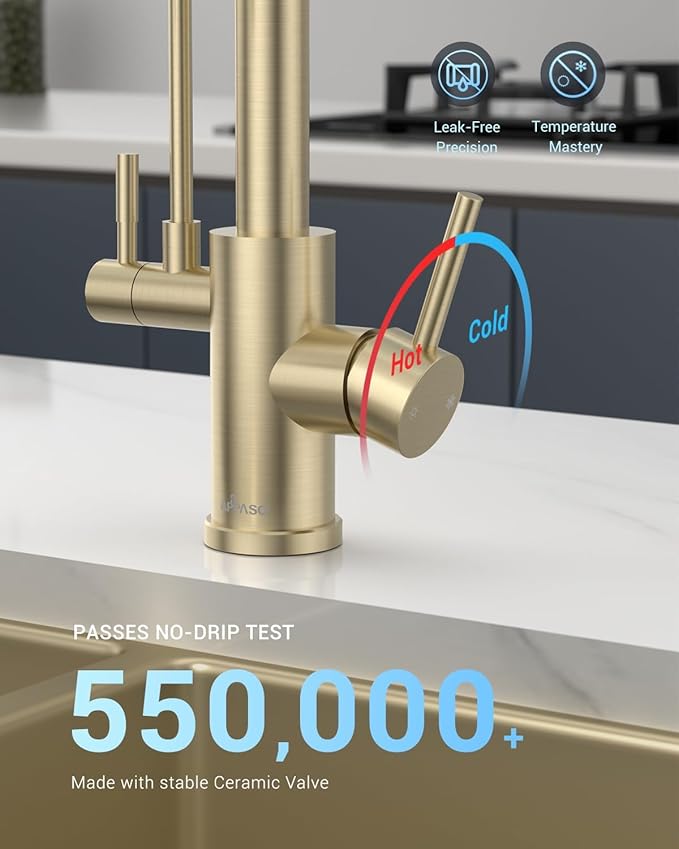 APPASO Gold Kitchen Faucet with Water Filter, Brushed Gold Kitchen Sink Faucet, 3 in 1 Kitchen Faucet (Without Water Filtration Device)
