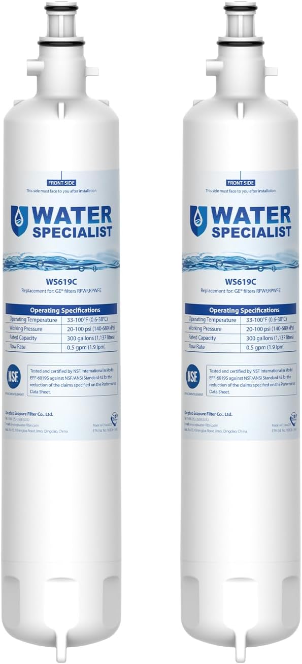 Waterspecialist Replacement for GE® RPWFE®, RPWF (Built-in CHIP) Refrigerator Water Filter, Compatible with GYS22GMNES, GYE22HSKSS, PYE22PELDS, GFE26GMKES, GFE28GYNFS, PFE28KYNFS, 2 Filters