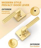 Asidrama 4 Pack Gold Privacy Door Handles, Door Lever with Door Knobs Indoor for Bedroom or Bathroom, Heavy Duty Door Handles Interior with Locks for Left Right Sided Doors