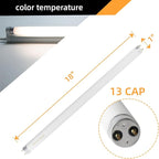 F15T8/CW 18 Inch 15W T8 Fluorescent Replacement Tube Bulb Cool White 4100K Medium Bi-Pin G13 Base 2 Count