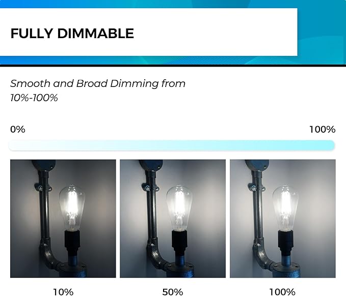 Hizashi LED Edison Bulbs, 6W, Equivalent 60W, Dimmable E26 LED Bulb, Daylight 5000K, 90+ CRI 700 Lumens, ST19 Vintage Light Bulbs, Clear Glass, Pack of 6