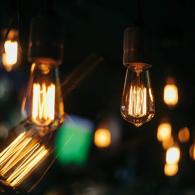 LUXON Edison Bulbs 60 watt,ST64 Incandescent Light Bulb, Antique Vintage Style,Dimmable Amber Glass 2000K Warm E26 Base,for Wall Sconce Retro Fixture (Pack of 6)