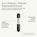 Seed DS-01 Daily Synbiotic - Prebiotic and Probiotic for Women & Men - Digestive Health, Gut Health, Immune Support, Bloating & Constipation Relief - Vegan & Shelf-Stable - 60 Capsules (30-Day Supply)