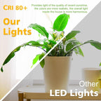 2 Inch LED Downlight, Recessed Lighting Dimmable Ceiling Light, 3W, 5500K Daylight White, CRI80 with LED Driver(35W Halogen Equivalent), Black 4 Pack